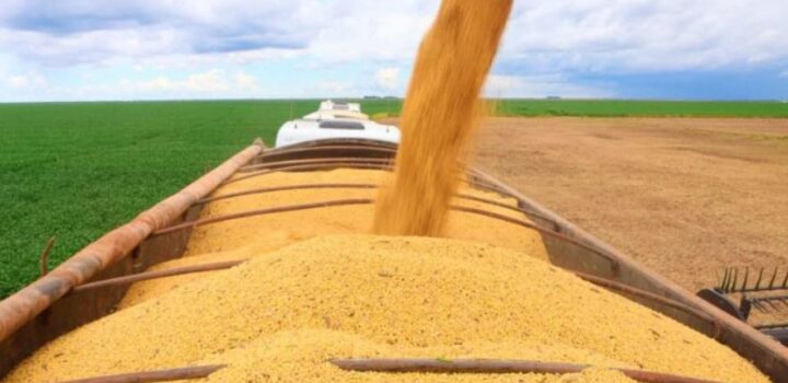 PIB do agronegócio baiano totalizou R$ 19,2 bi no 1º trimestre de 2026