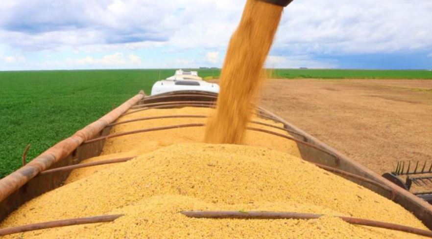 PIB do agronegócio baiano totalizou R$ 19,2 bi no 1º trimestre de 2026