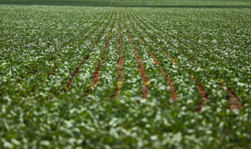 Reunião com bancada do agro termina sem acordo sobre dívidas rurais