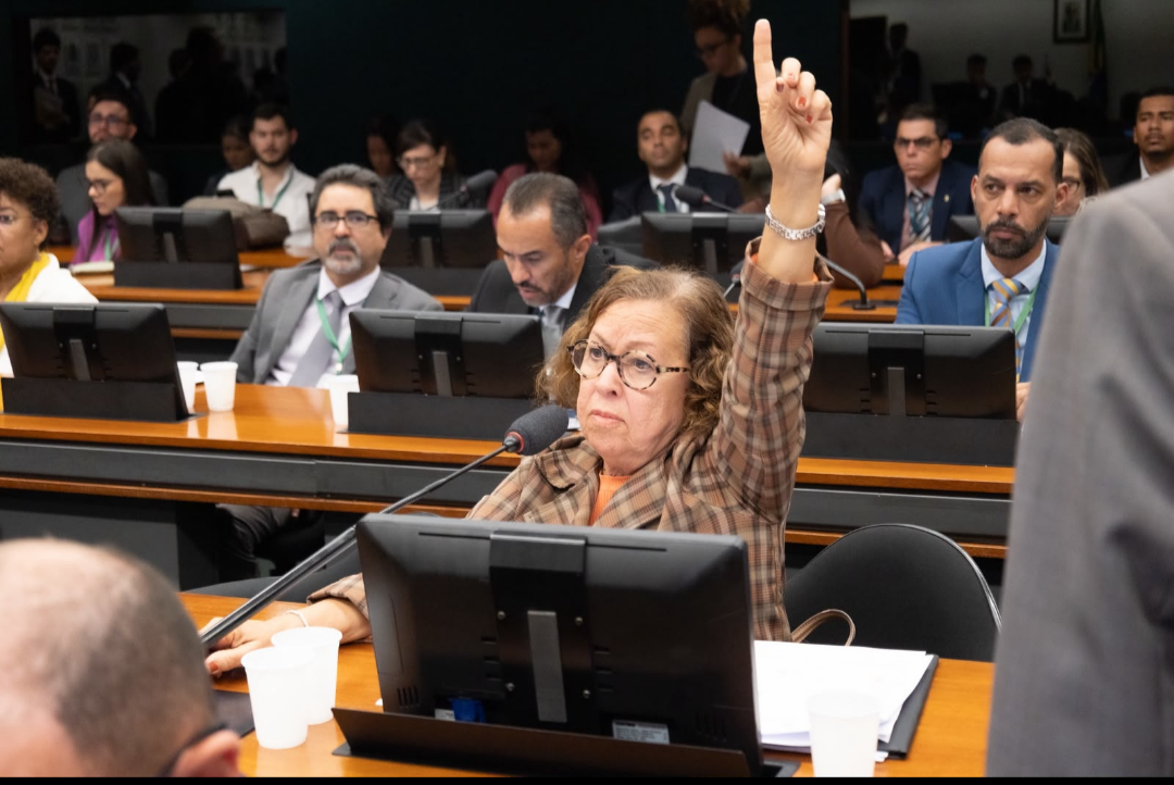 Lídice diz que “provão baiano” proposto por ACM Neto é “espuma marqueteira”