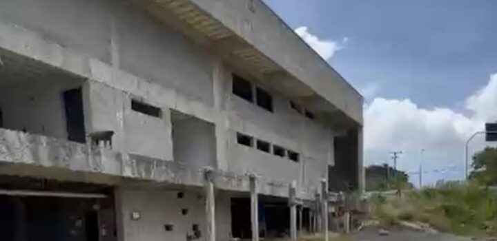 Lídice diz que time de ACM Neto esconde abandono de escola para crianças autistas em Salvador