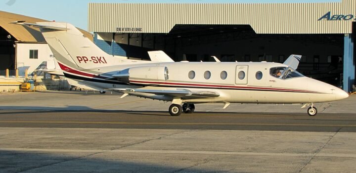 Irmã de ACM Neto é sócia do ‘Rei do Lixo’ em um avião, afirma jornal O Globo