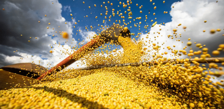 Produção agrícola brasileira superou R$ 927 bilhões em 2025