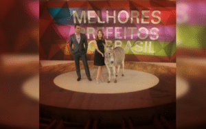 Leia mais sobre o artigo Investigação da Globo questionou credibilidade de premiações para gestores públicos