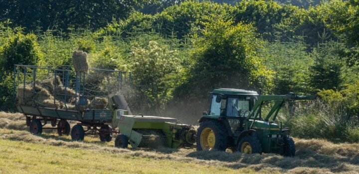Preços da indústria voltam a subir em agosto e avançam 0,36%, aponta IBGE