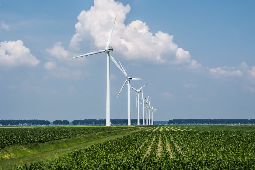 Brazil Windpower 2026 e SENAI se unem para aproximar estudantes e indústria eólica