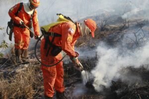 Leia mais sobre o artigo Bombeiros completam 100 dias de operação contra incêndios florestais com redução de 29% nos focos de calor