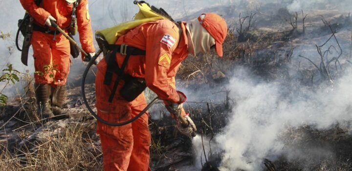 Bombeiros completam 100 dias de operação contra incêndios florestais com redução de 29% nos focos de calor