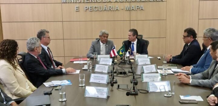 Acordo abre caminho para previsão de safra de cacau na Bahia